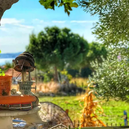 Hotel Cunda Thelara *