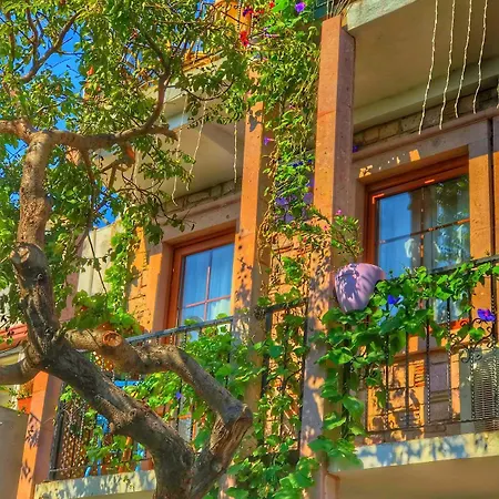 Cunda Thelara Hotel