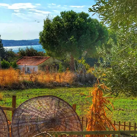 Cunda Thelara *