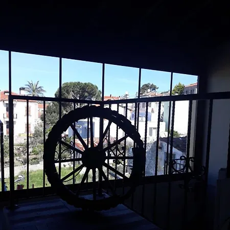 Cunda Thelara Ayvalı