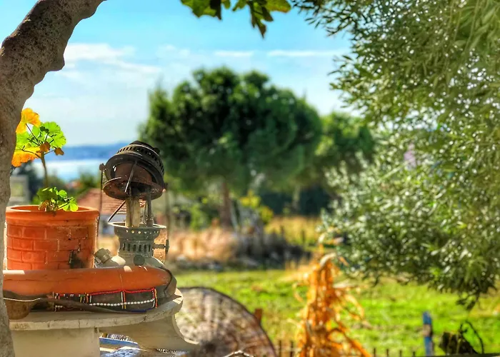 ホテル Cunda Thelara *