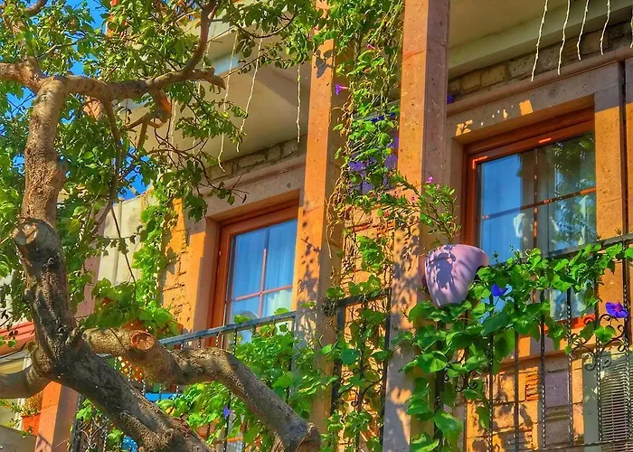 Cunda Thelara ホテル